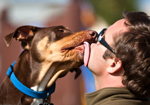 dog-kiss1.jpg
