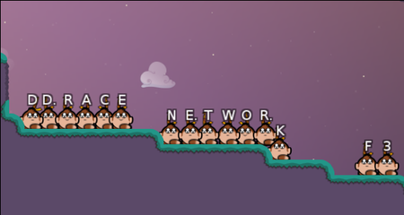 DDRACE NETWORK.png