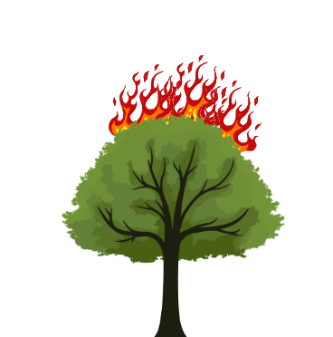 tree in fire 1.png