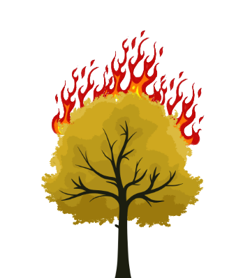 tree in fire 2.png